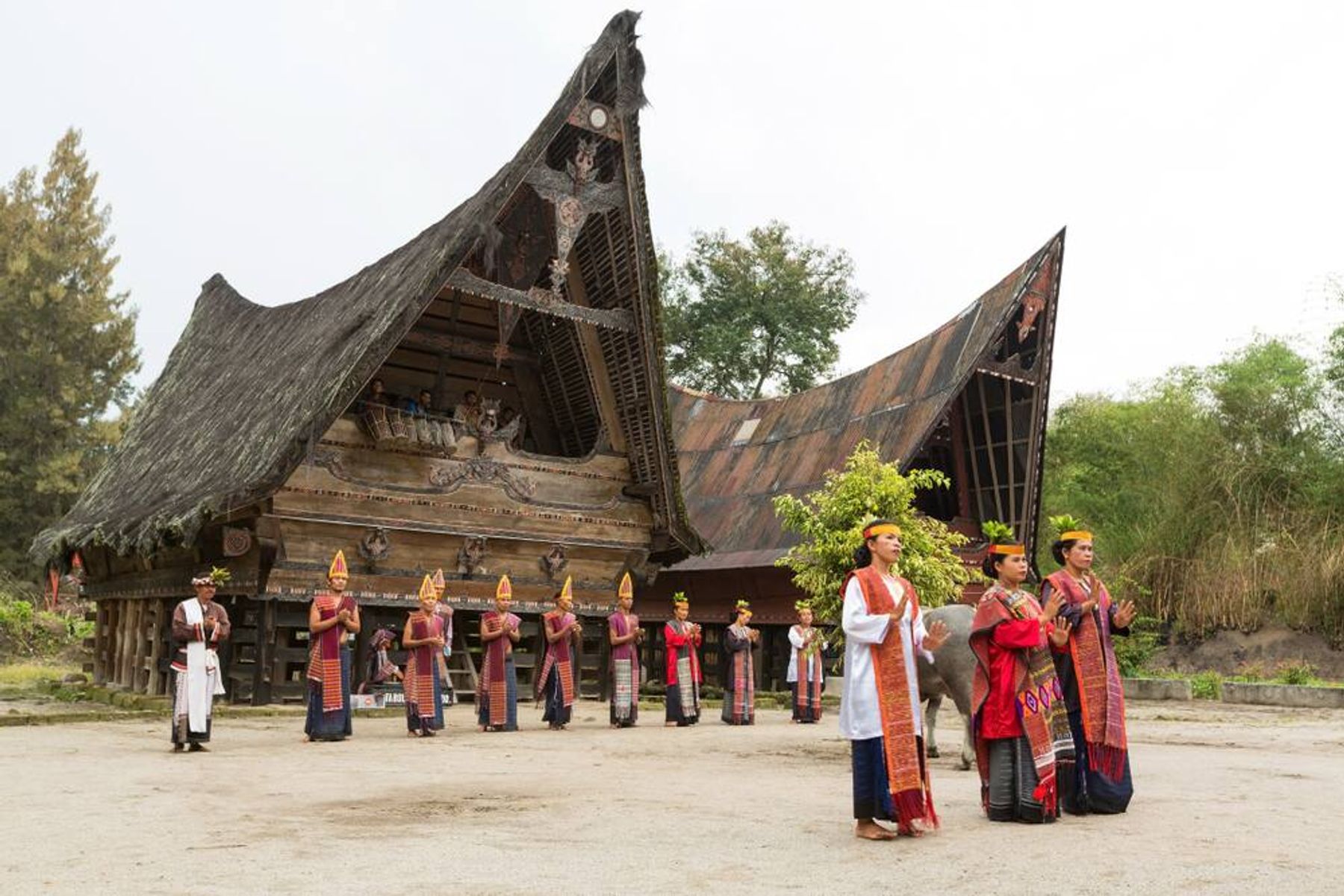 Lake Toba Tour: Captivating Views and Serene Atmosphere